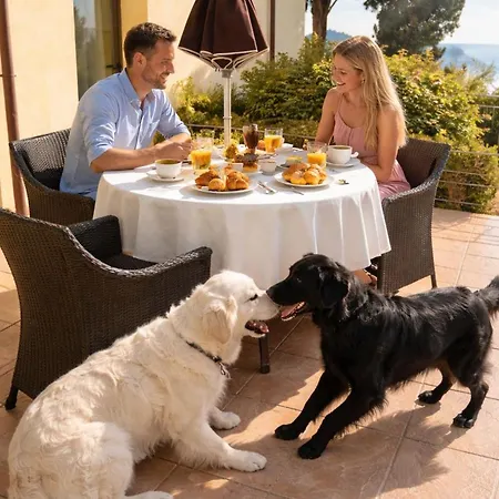 Aparthotel Baba Residences Alassio