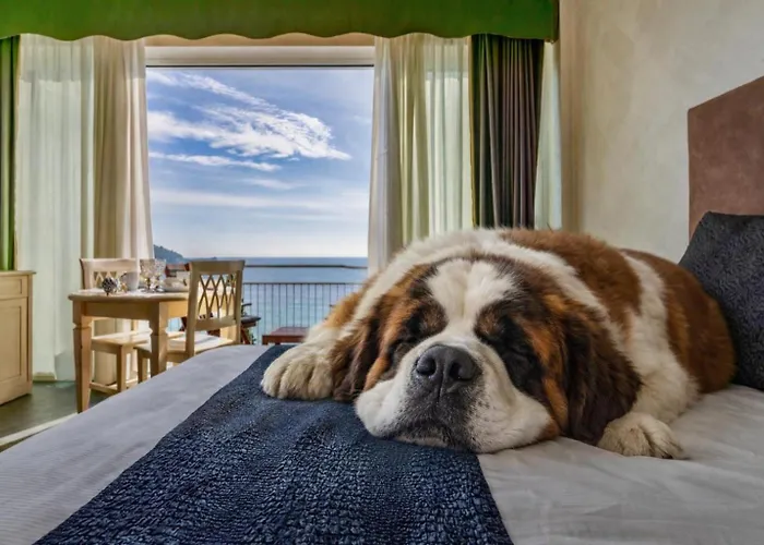 Baba Residences Aparthotel Alassio