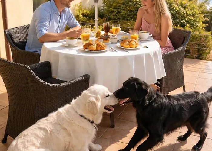 Aparthotel Baba Residences Alassio